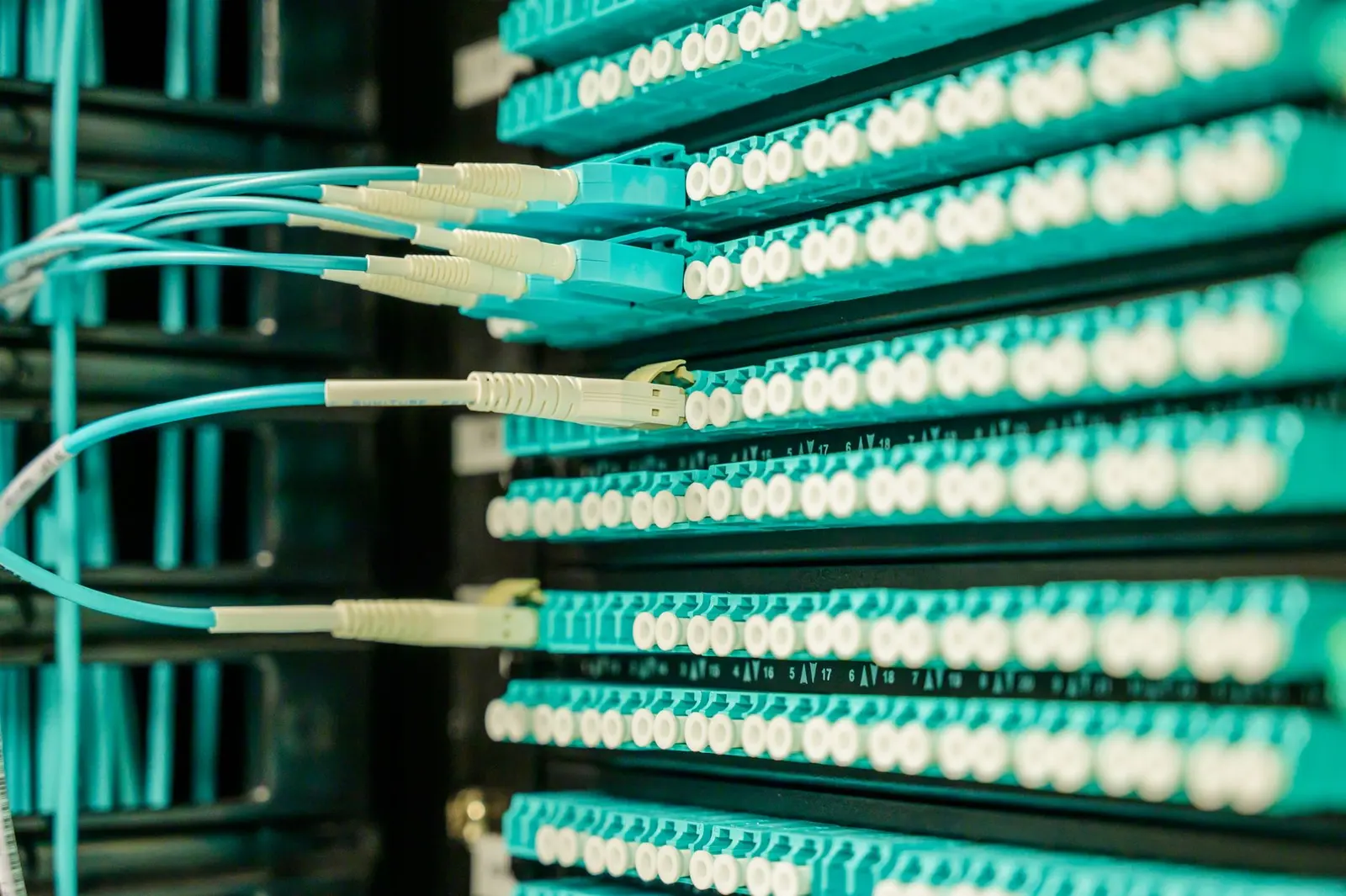 Network switches and cabling in a small office comms closet